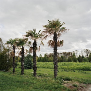 Paysage de banlieue photographie de Eric Facon photographe